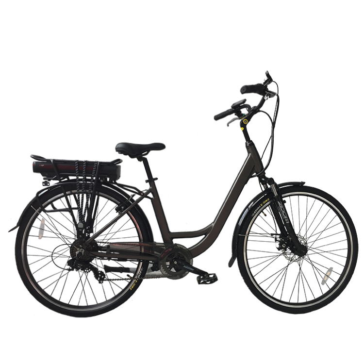 Low Price City Electric Bike with Ce En15194