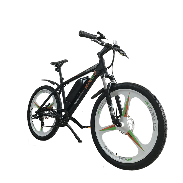 Low Price China Adult Electric Bike on Sale