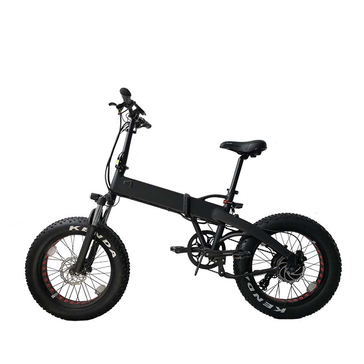 20 Inch Best Foldable Fat Electric Bike for Beach