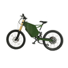 High Speed 3000w Electric Bike with Hidden Battery