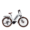 Long Range Green City Mid-drive Electric Bike with CE