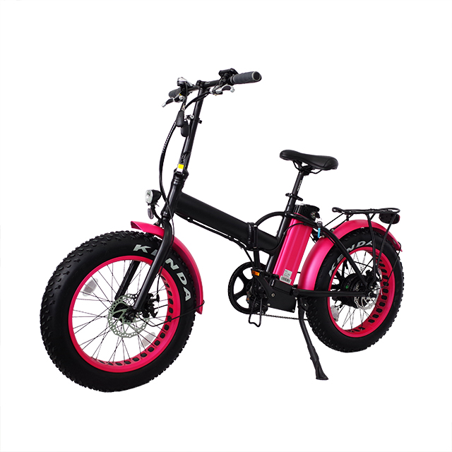 20 Inch Fat Tire Electric Bike for Customized